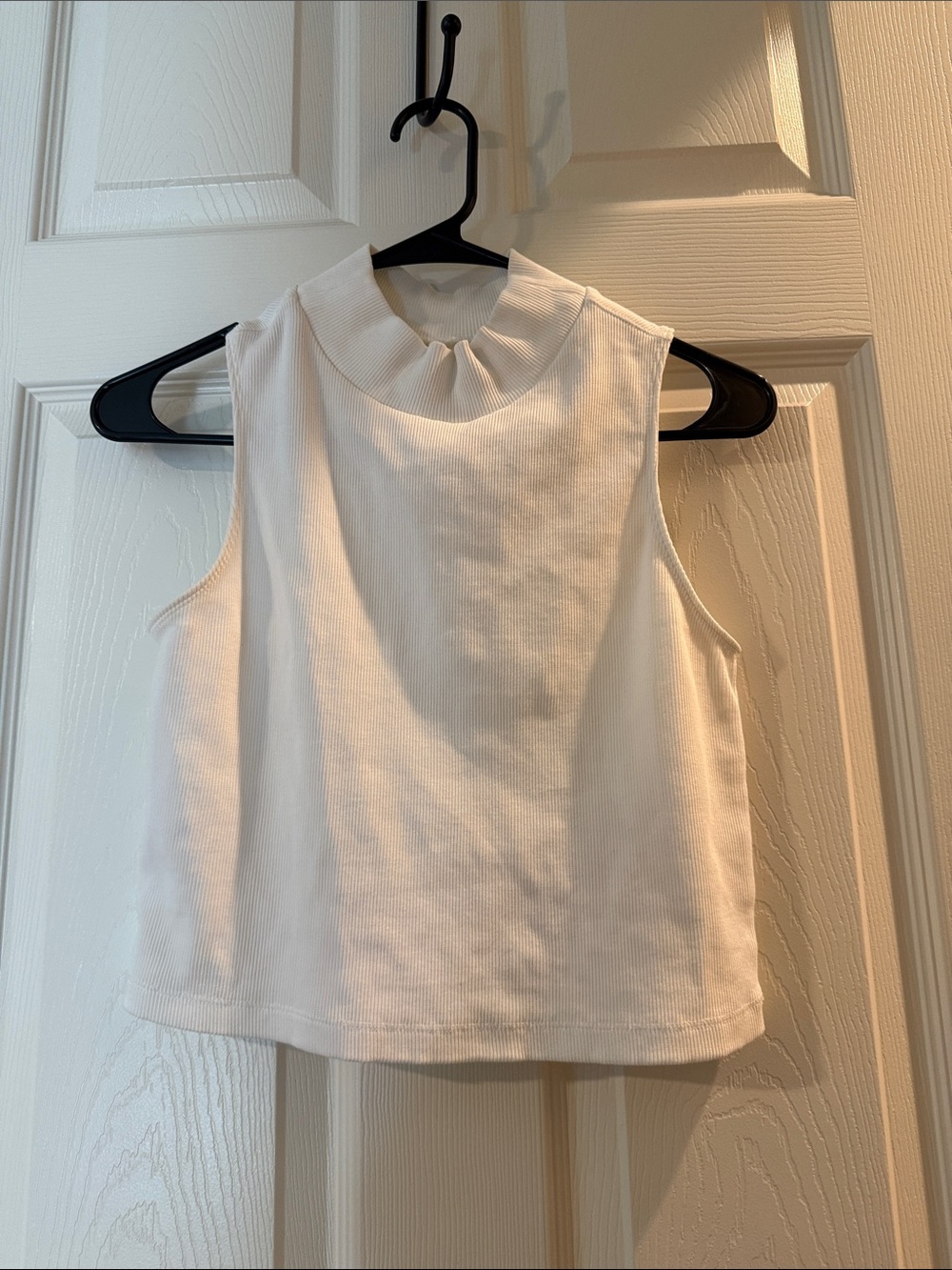 Everlane High Neck Cropped Ribbed Tank